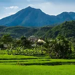 Papyrus Tropical Hotel