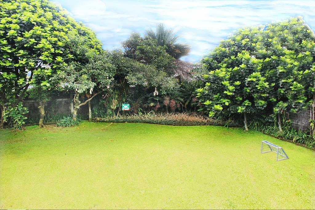 Papyrus Tropical 3*