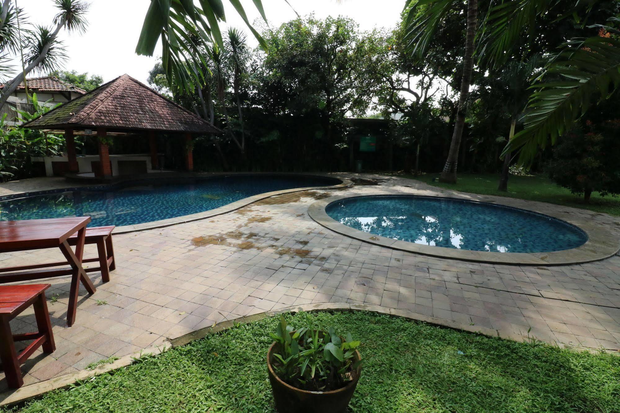 Papyrus Tropical Bogor