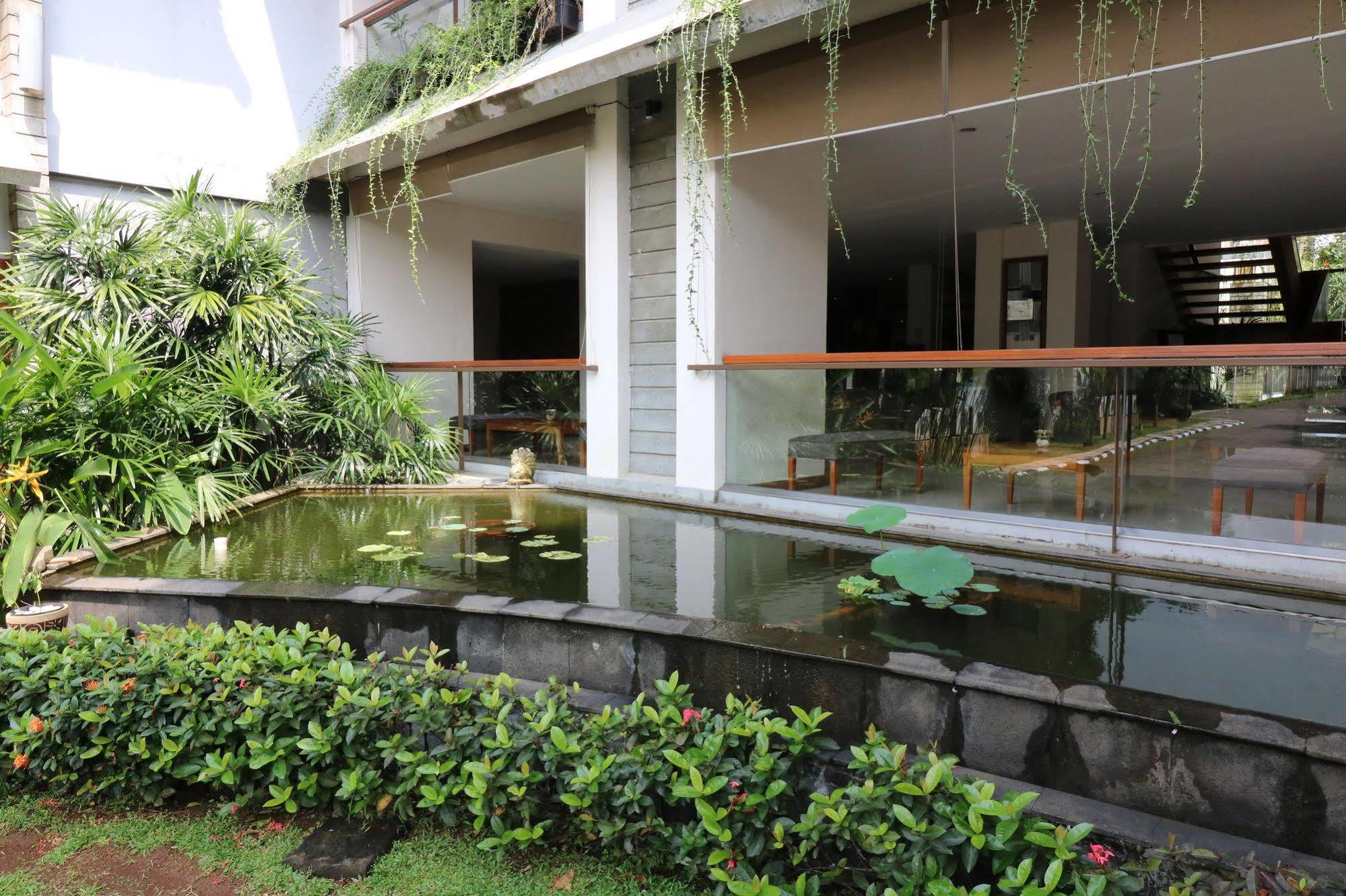 Papyrus Tropical Bogor